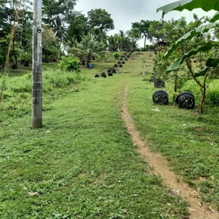 Titled Lot for Sale in Consolacion – ₱6,500/sqm