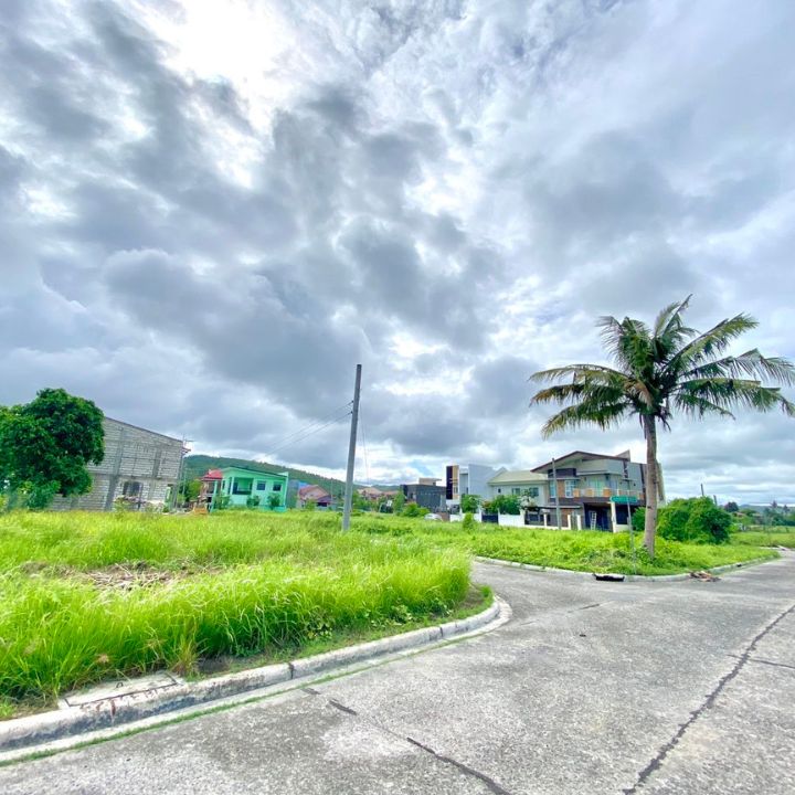 4,919 sq.m Prime Highway Lot for Sale in Bolinawan, Carcar, Cebu at 12k per&nbsp;sq.m